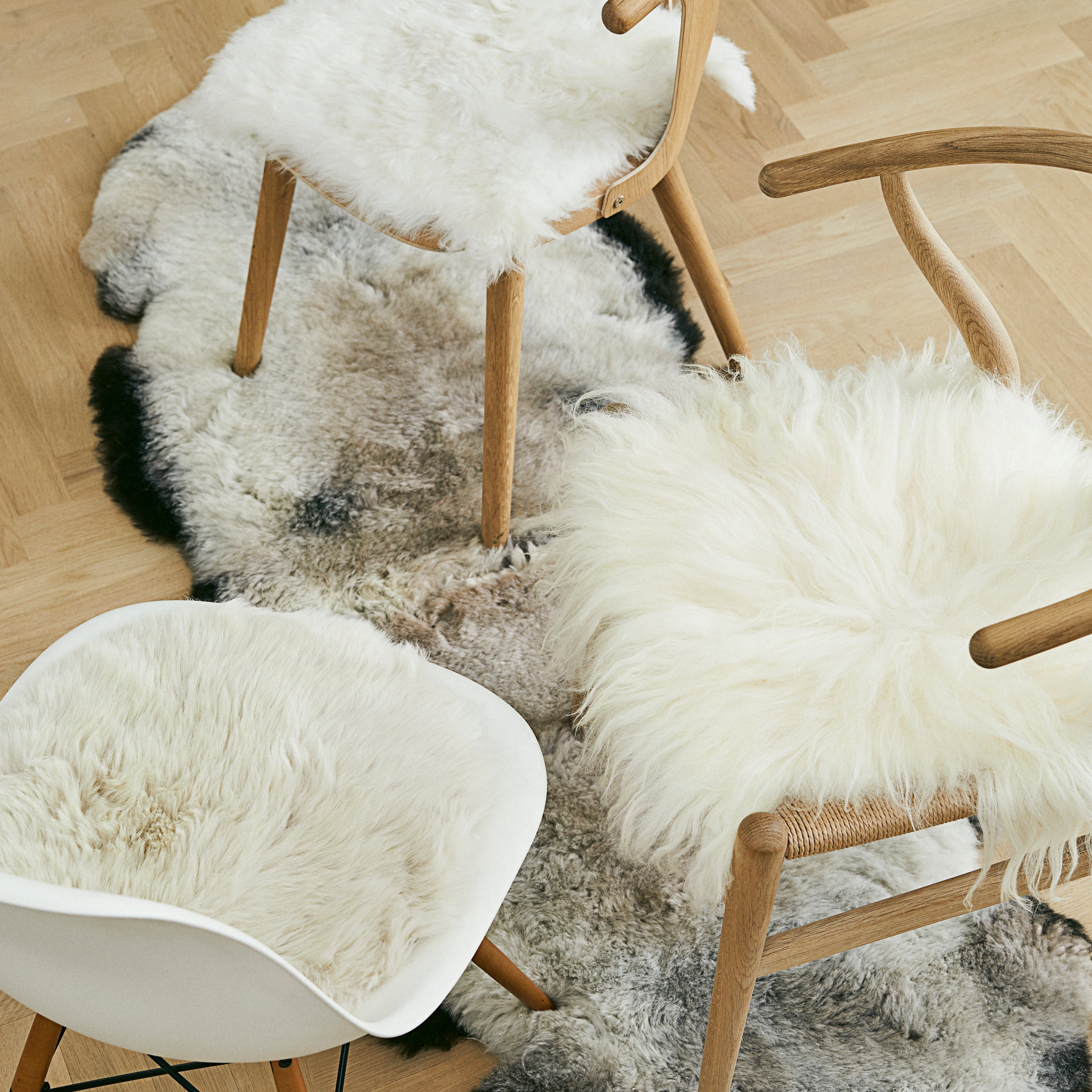 Drei Stühle mit hellen Schaffellen und Lammfellen auf einem Naturfellteppich auf Parkettboden – gemütliche und stilvolle Fell-Deko im skandinavischen Wohnstil.