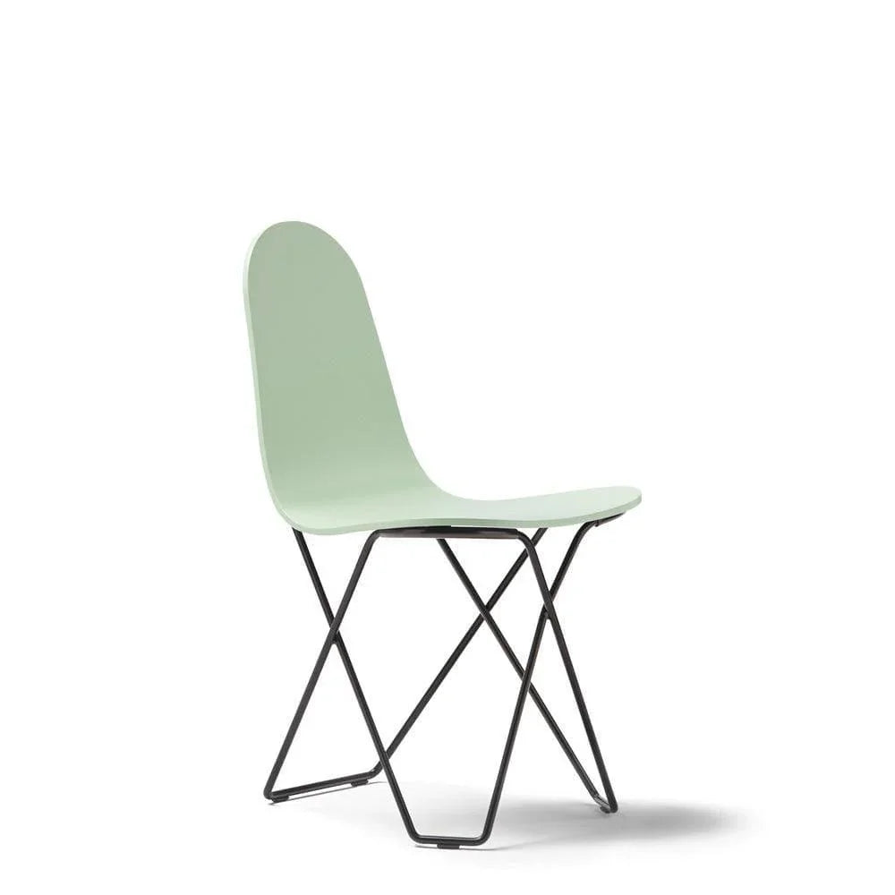 Stuhl CACTUS OAKWOOD _ Cuero _SKU