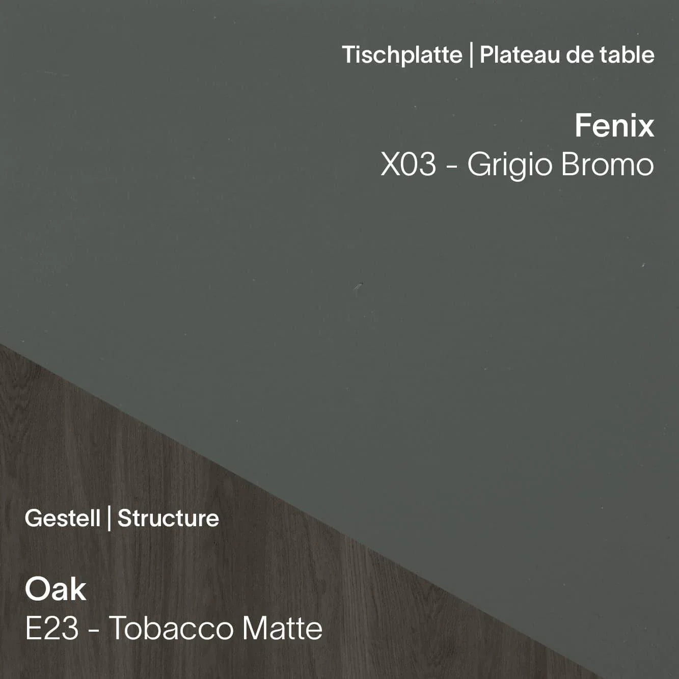 Arbeitstisch TRAVA T1611 - Fenix & Eiche | Mobitec | Homestorys