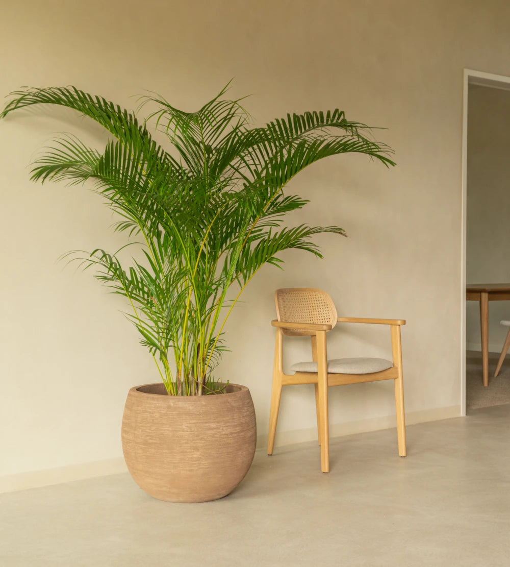 Pflanzentopf SAYA