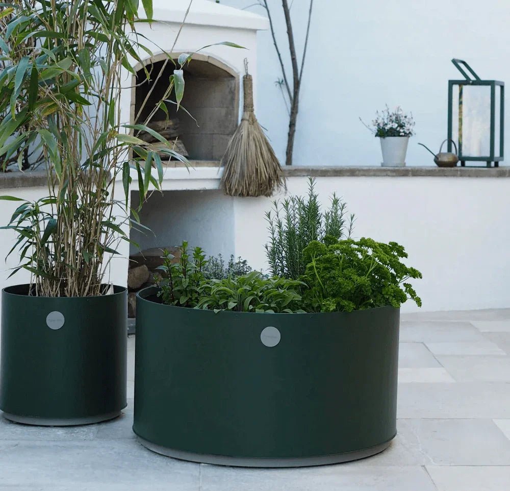 Cane - line - Pflanzengefäß GROW - 5771ADGT | Homestorys