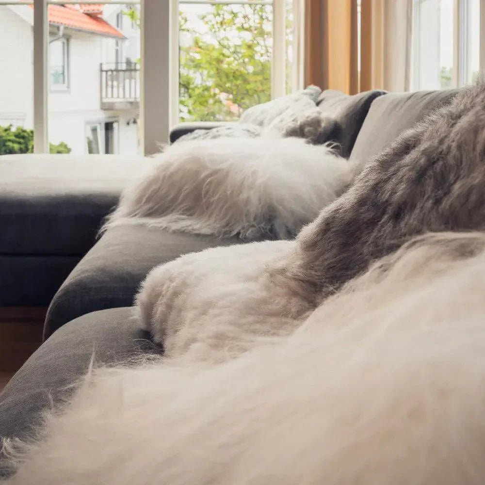 Cuero - Schaffell Kissen - | Homestorys