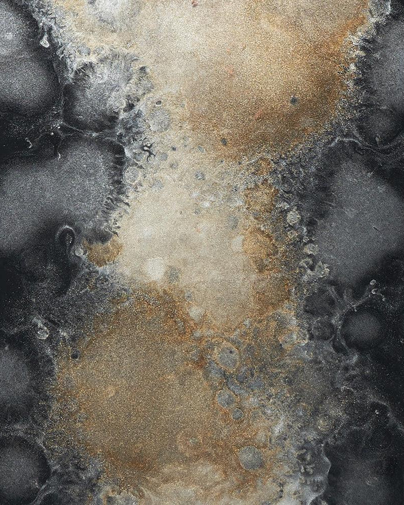 Glasstablett CLASSICS Black Organic - 42x24 | Ethnicraft | Homestorys