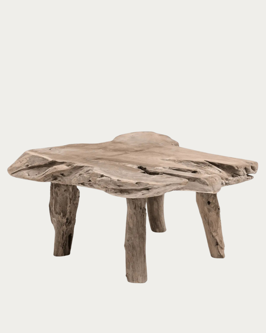Couchtisch NATURAL Shape