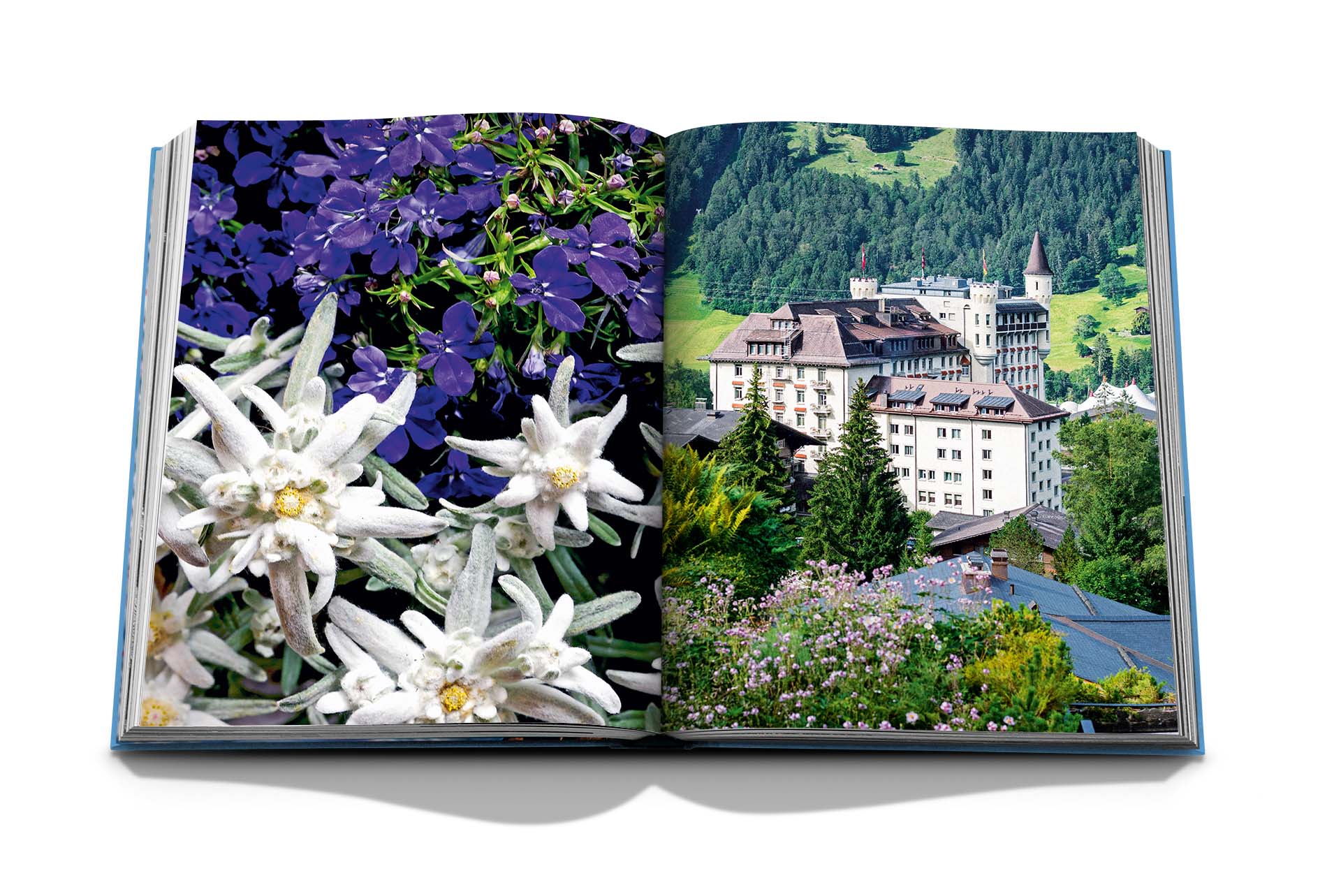 Buch - TRAVEL FROM HOME Gstaad Glam