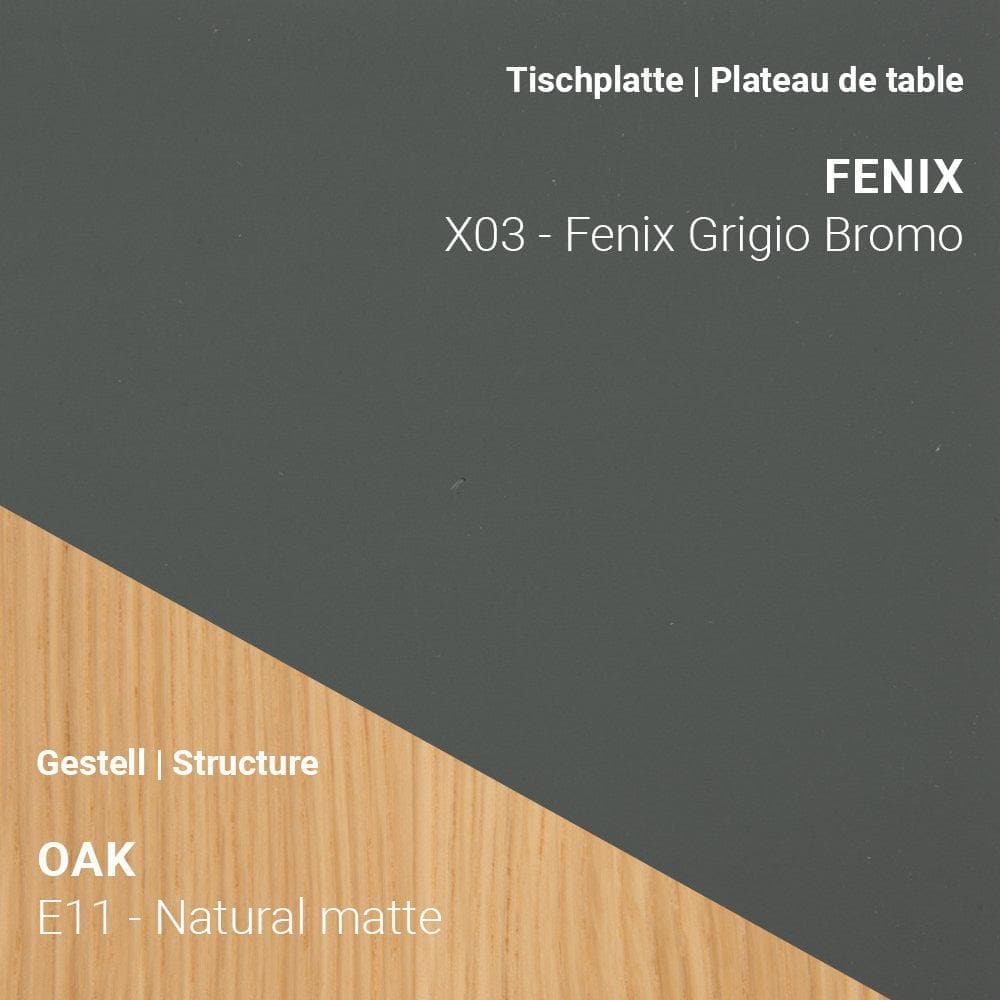 Arbeitstisch TRAVA T1611 - Fenix & Eiche | Mobitec | Homestorys