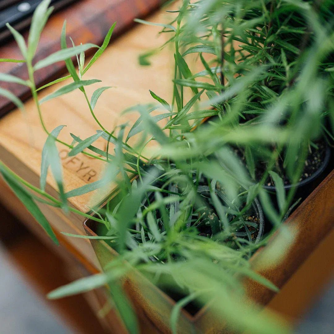 Ofyr - Grill Island Pro - OI-100-PRO-TW | Homestorys